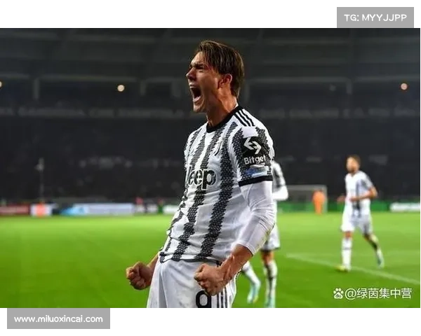 弗拉霍维奇四场连结进球背后故事 揭秘他如何成为意甲新锋线焦点